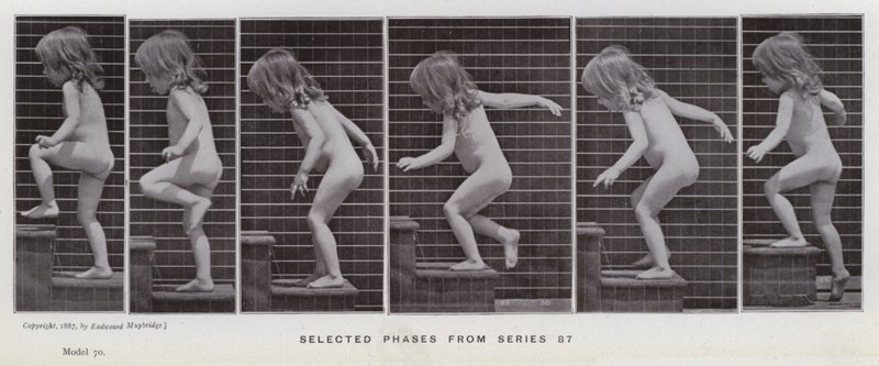 La figure humaine en mouvement : Phases sélectionnées de la série 87 - Eadweard Muybridge