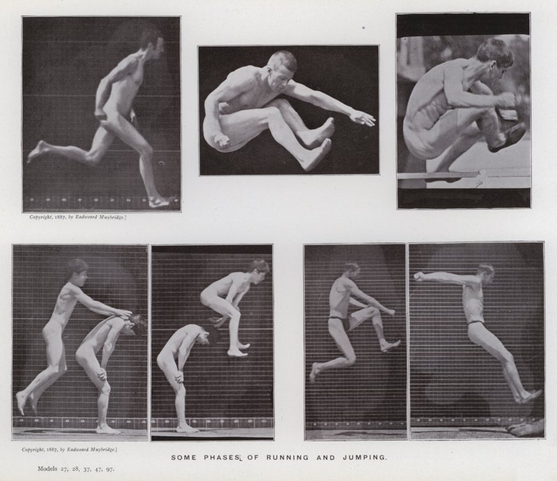 La figure humaine en mouvement : Quelques phases de course et de saut - Eadweard Muybridge