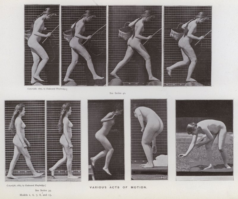 La figure humaine en mouvement : Divers actes de mouvement - Eadweard Muybridge