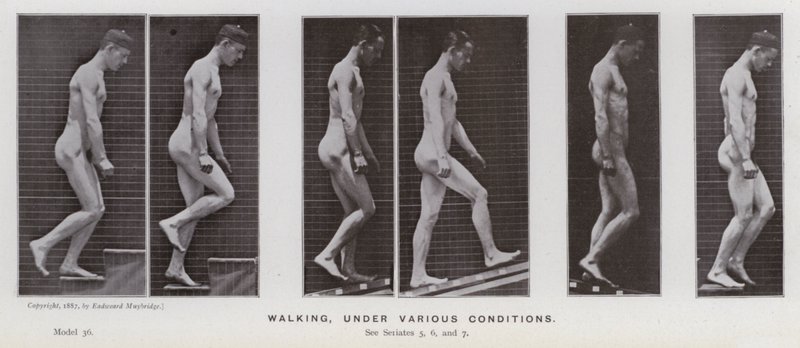La figure humaine en mouvement : Marche, sous diverses conditions - Eadweard Muybridge