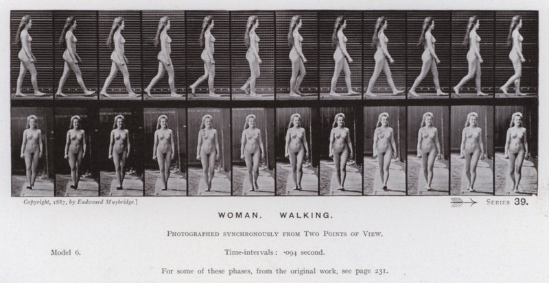 La figure humaine en mouvement : Femme, marchant (photo n/b) - Eadweard Muybridge