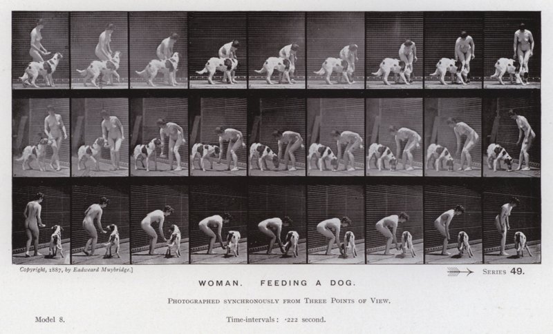 La Figure Humaine en Mouvement : Femme, nourrir un chien - Eadweard Muybridge