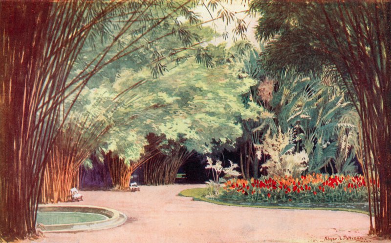 Une bambouseraie, Jardins botaniques - Edgar L. Pattison