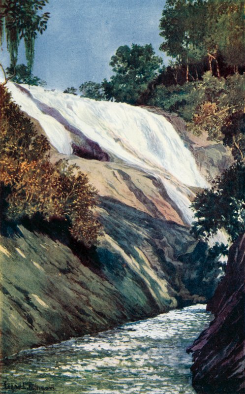 Une cascade à Tijuca, Rio - Edgar L. Pattison