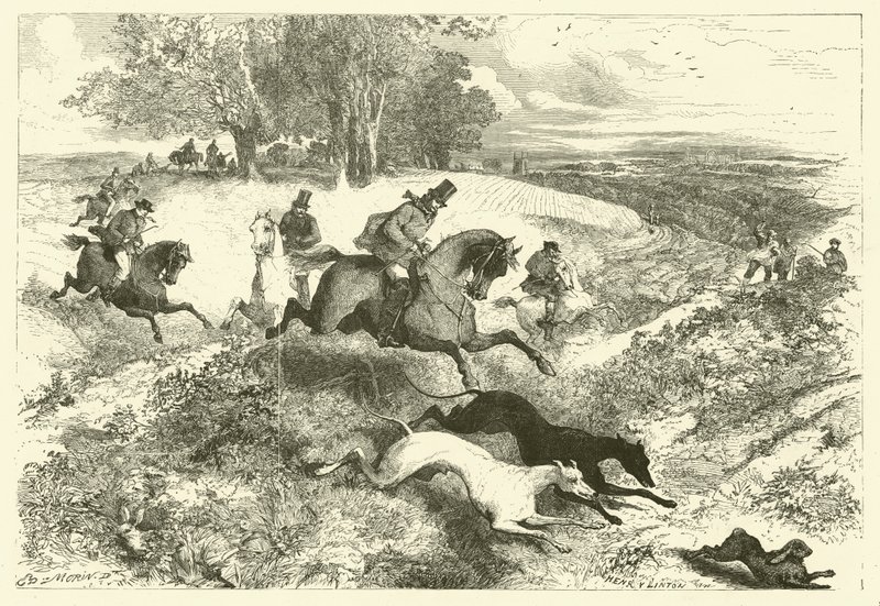 Course de lièvres en Angleterre (gravure) - Edmond (after) Morin