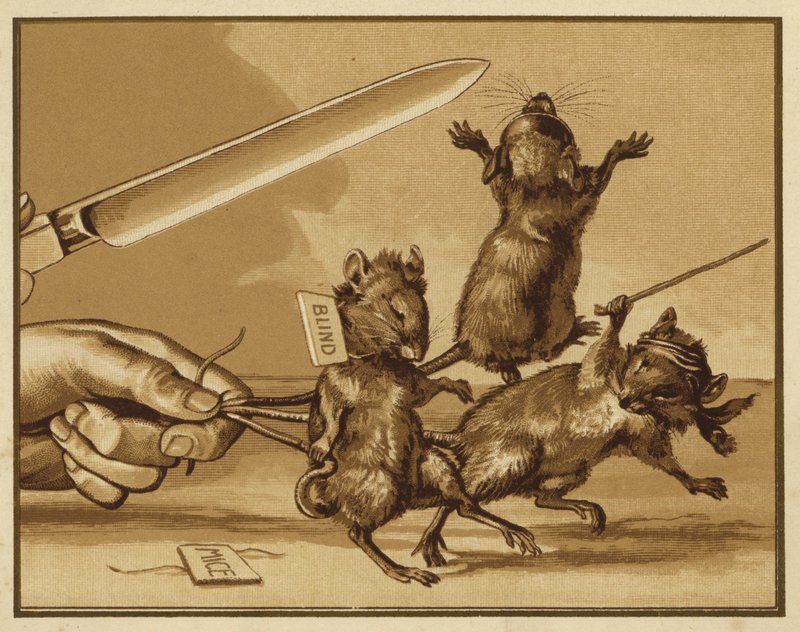 Illustration pour Trois souris aveugles - Edmund G. Caldwell