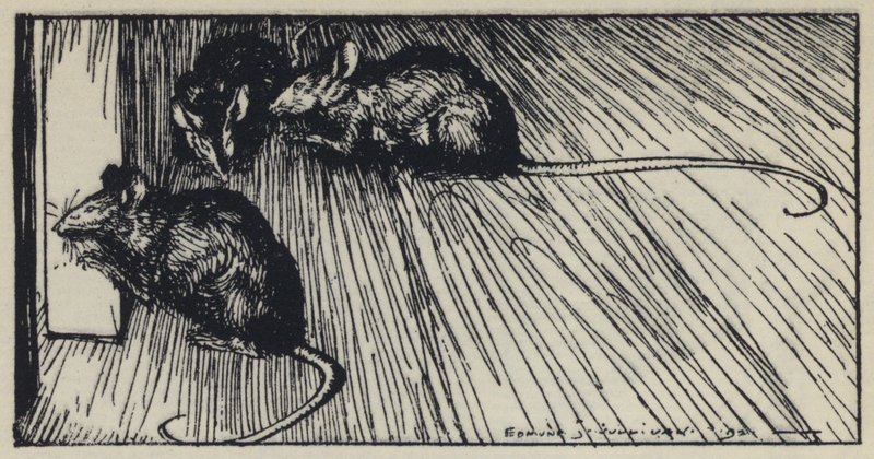 Illustration pour Maud de Tennyson - Edmund Joseph after Sullivan