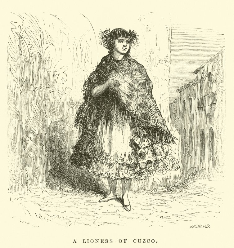 Une lionne de Cuzco - Edouard Riou