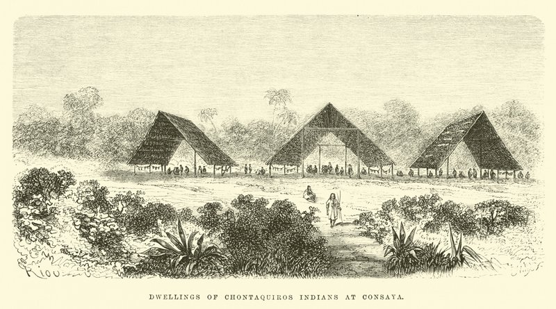 Habitations des Indiens Chontaquiros à Consaya - Edouard Riou