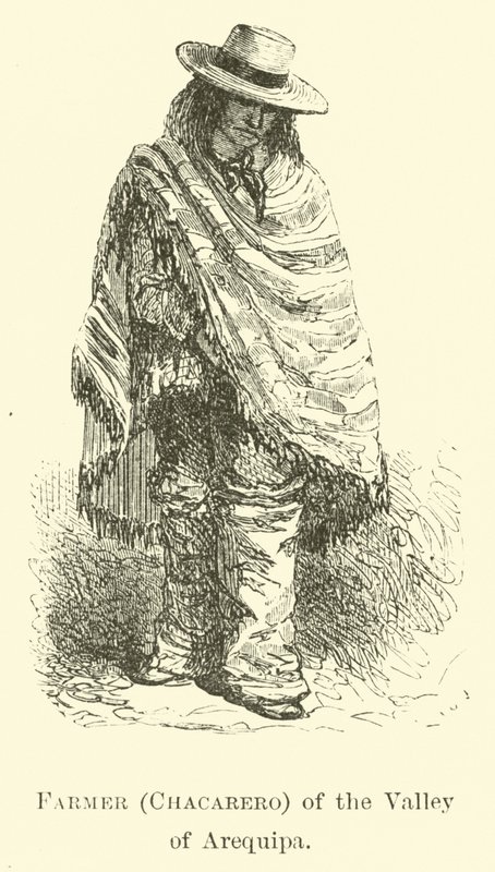 Fermier (Chacarero) de la vallée d