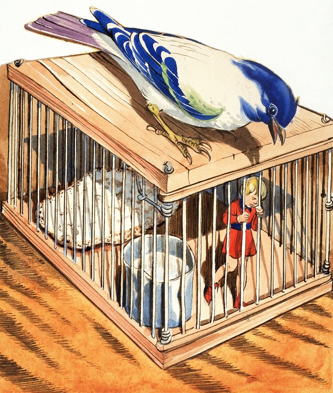 Tom Pouce dans une cage à oiseaux - Eduardo Teixeira Coelho