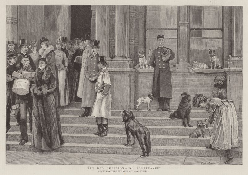 La Question du Chien, Pas d