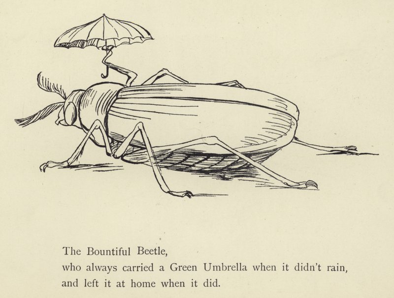 Le Scarabée généreux - Edward Lear
