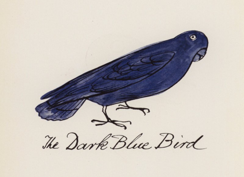 Edward Lear, Le Livre des Oiseaux : L