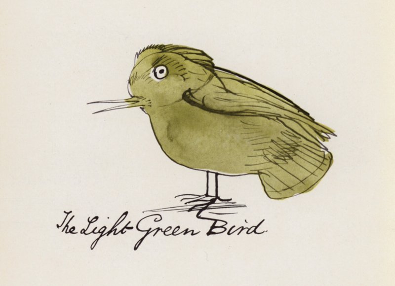 Le Livre des Oiseaux : L
