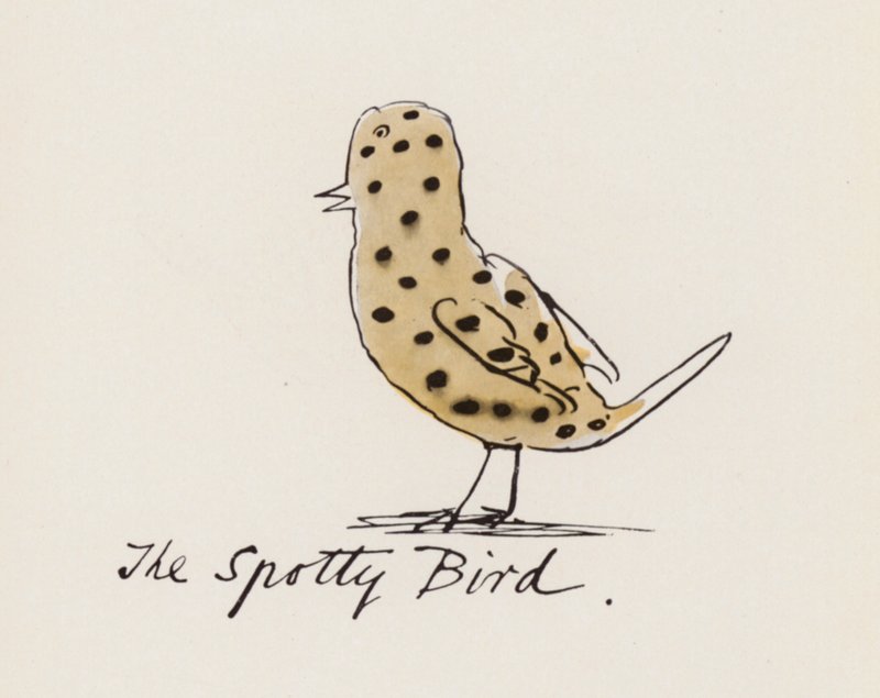 Edward Lear, Le Livre des Oiseaux : L