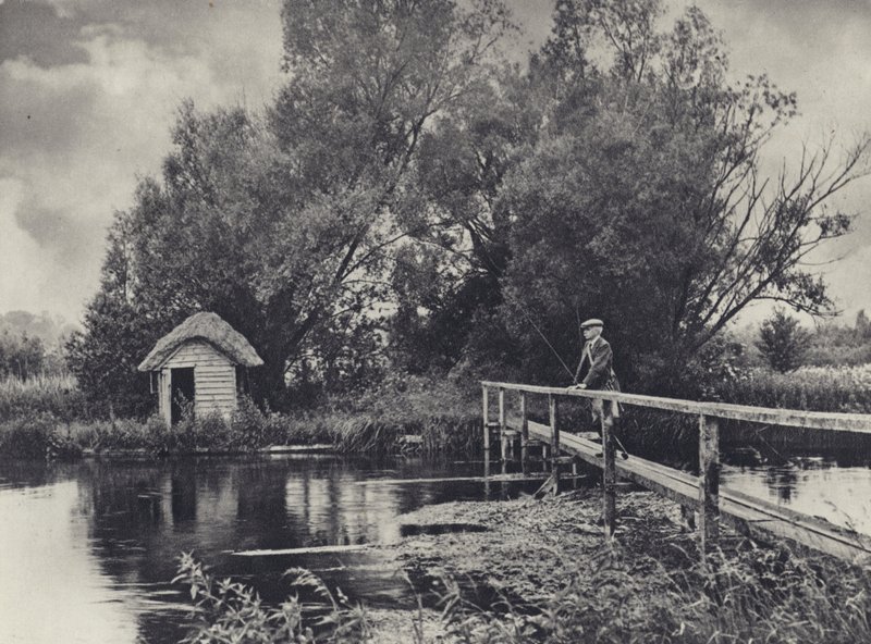Une cabane sur l