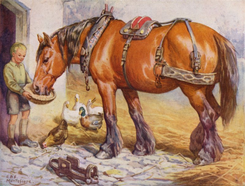 Garçon nourrissant un cheval dans une cour de ferme - Edward Brice Montefiore