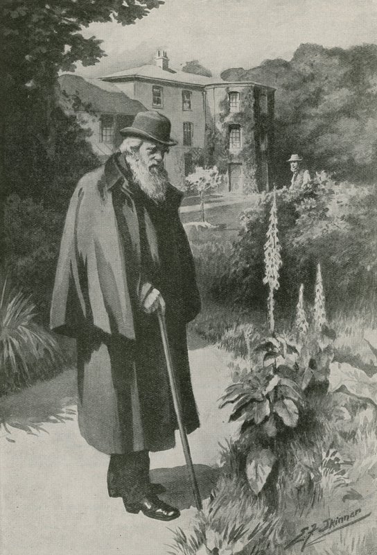 Charles Darwin dans son jardin à Down House (lithographie) - Edward Frederick Skinner