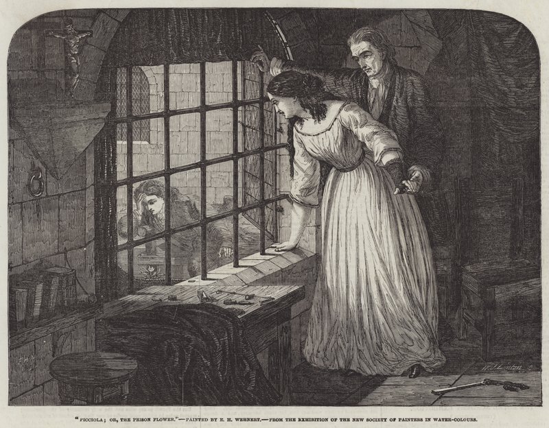 Picciola; ou, la fleur de la prison - Edward Henry Wehnert