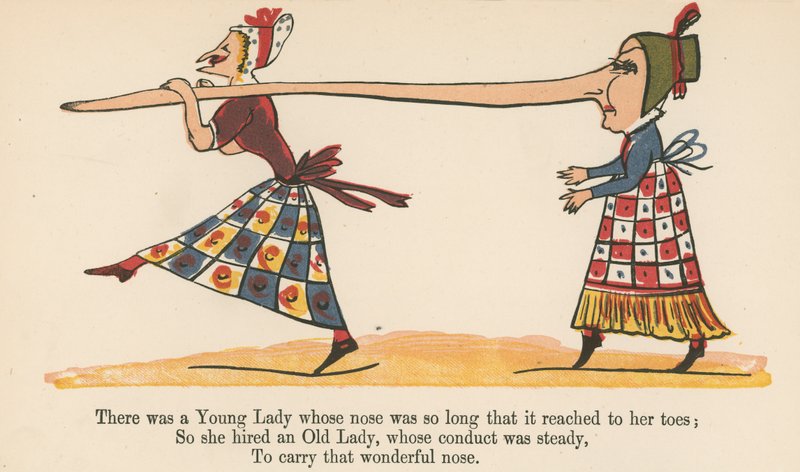 Il y avait une jeune dame dont le nez était si long qu