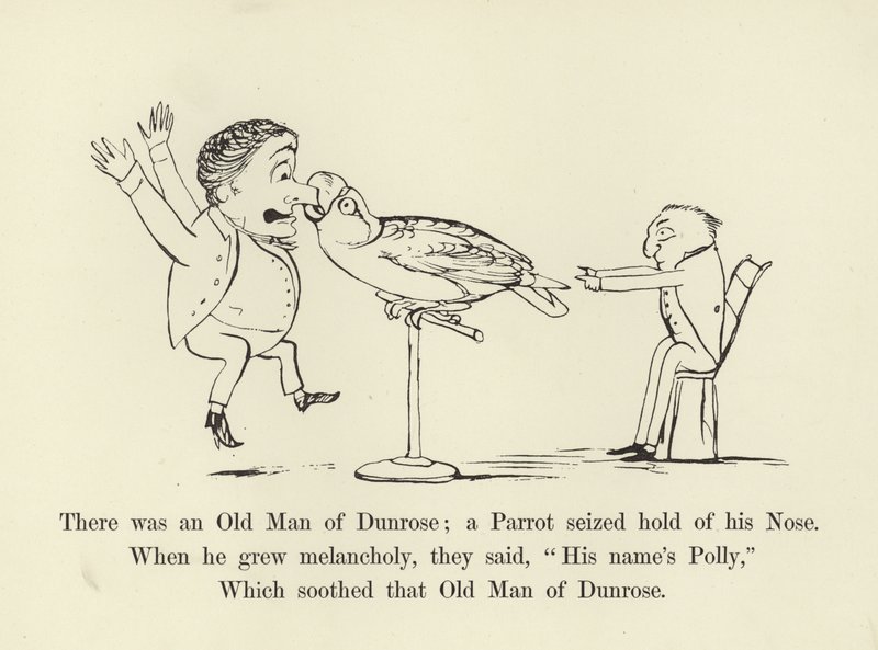 Il y avait un vieil homme de Dunrose; un perroquet lui saisit le nez - Edward Lear