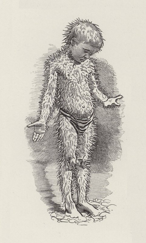 Illustration pour Les Enfants de l