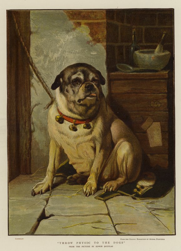 Jetez la médecine aux chiens - Edwin Douglas