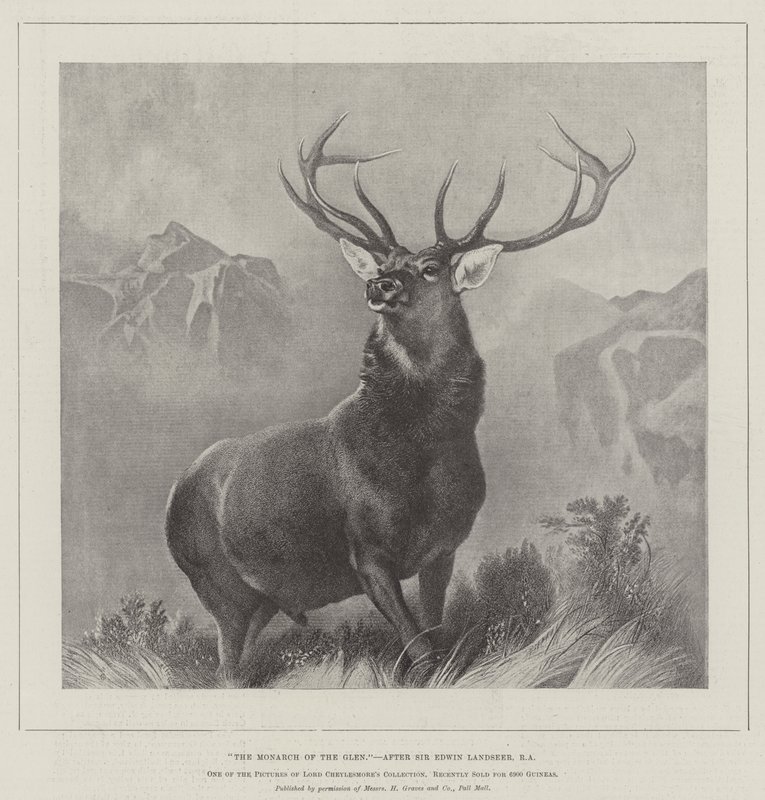 Le Monarque des glens - Edwin Landseer