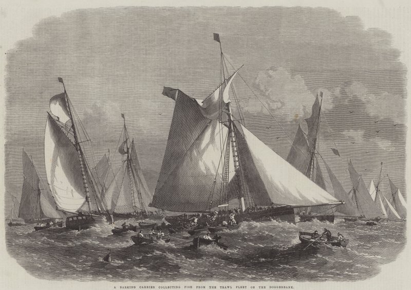 Un transporteur aboyant collectant du poisson de la flotte de chalutiers sur le Doggerbank - Edwin Weedon