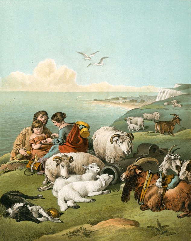 Enfants jouant avec des moutons et des chèvres sur des falaises blanches - Edwin Landseer