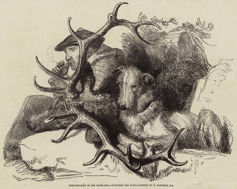 Chasse au cerf dans les Highlands, surveillant le corps - Edwin Landseer