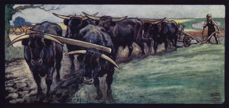 Bœufs labourant sur les Downs du Sussex - Edwin Noble