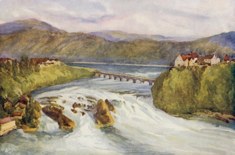 Le Rhin : Les chutes du Rhin, Schaffhouse - Effie Jardine