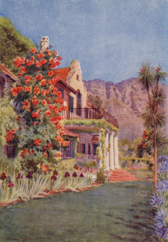 Bignonia grandiflora at Paradise, Claremont (colour litho) - Elizabeth Drake