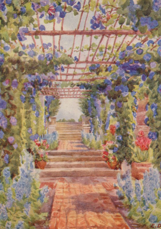 Pergola couverte d