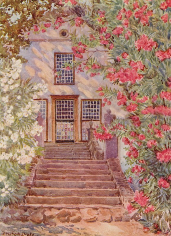 Lauriers roses et blancs, Alphen, Wynberg (lithographie couleur) - Elizabeth Drake