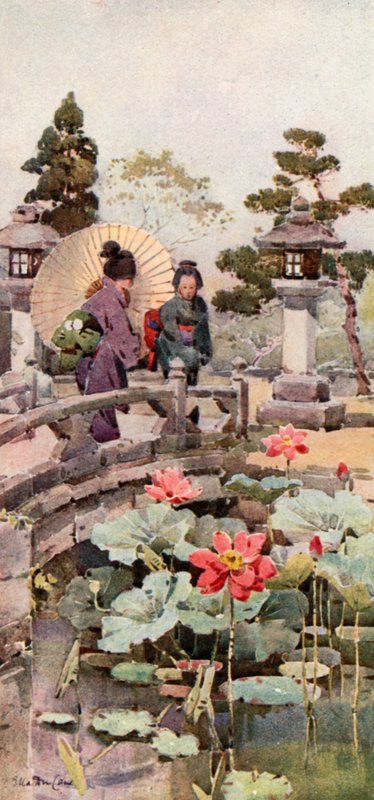 Fleurs de lotus (lithographie couleur) - Ella Du Cane