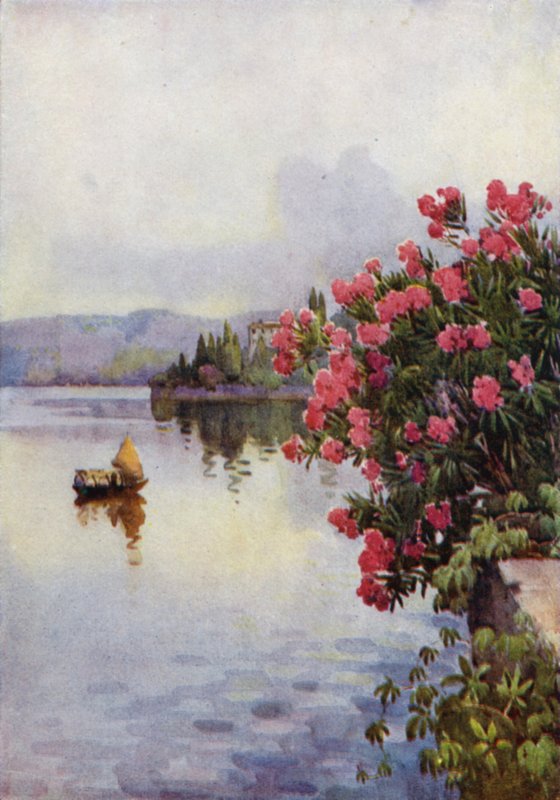 Lauriers roses - Ella Du Cane