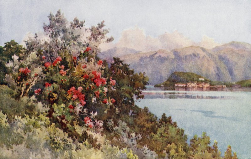 Roses, Villa Carlotta, lac de Côme - Ella Du Cane