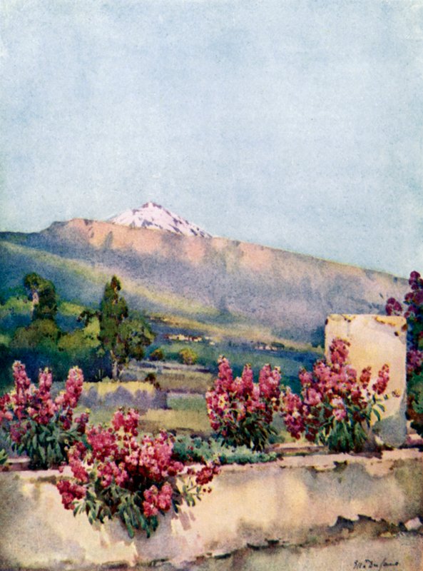 Le Pic, depuis Villa Orotava - Ella Du Cane