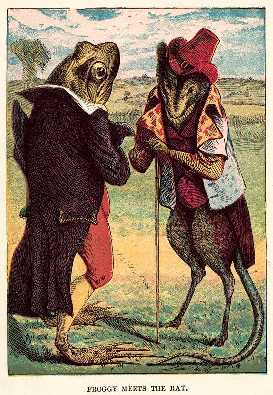 Grenouille rencontre le rat - English School