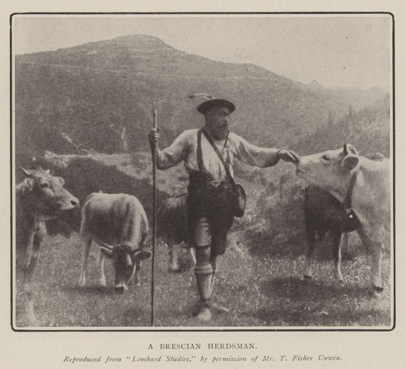 Un berger de Brescia - English Photographer