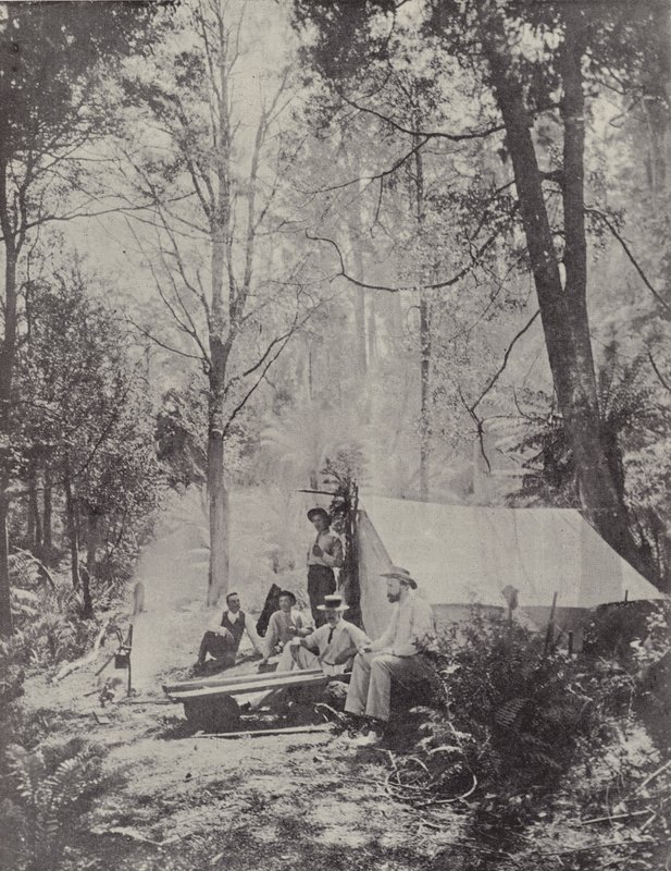 Un camp dans la brousse, Tasmanie - English Photographer