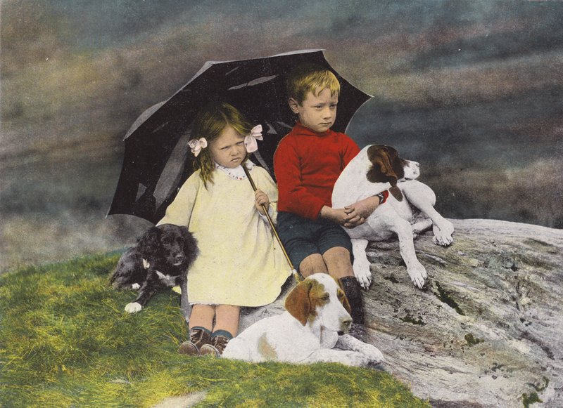 Garçon et fille avec trois chiens s