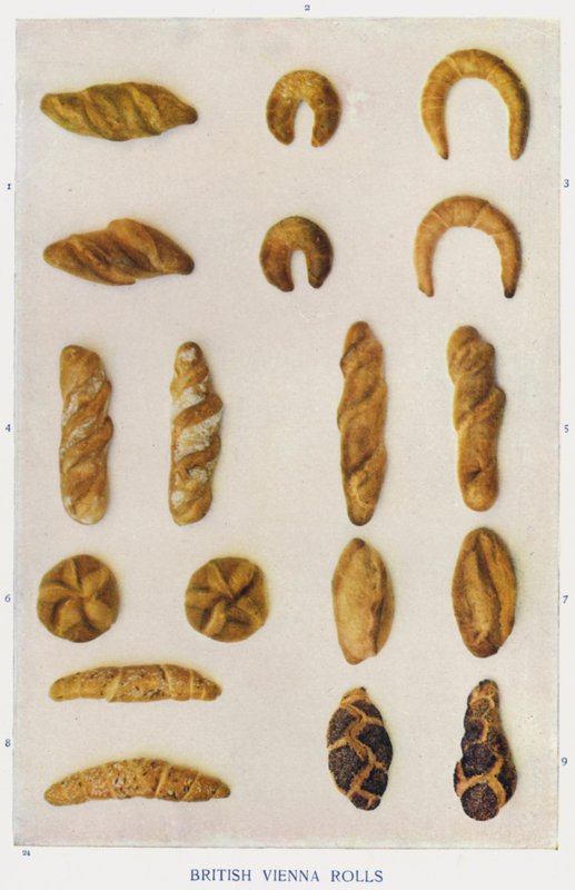 Rouleaux viennois britanniques - English Photographer