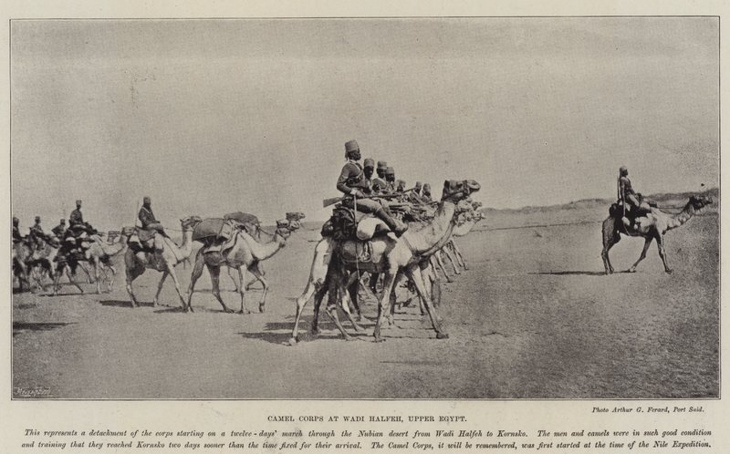 Corps de chameaux à Wadi Halfeh, Haute-Égypte - English Photographer