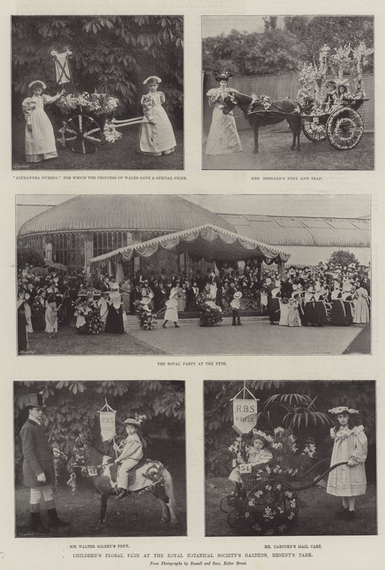 Fête florale des enfants aux jardins de la Société royale de botanique, Regent