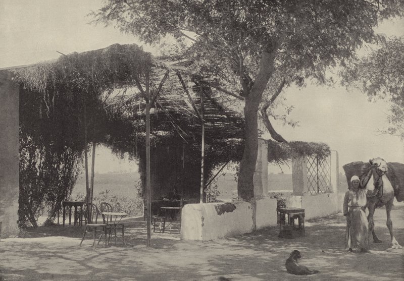 Café dans le jardin de la Vierge à Matariyeh, où Joseph a vécu - English Photographer