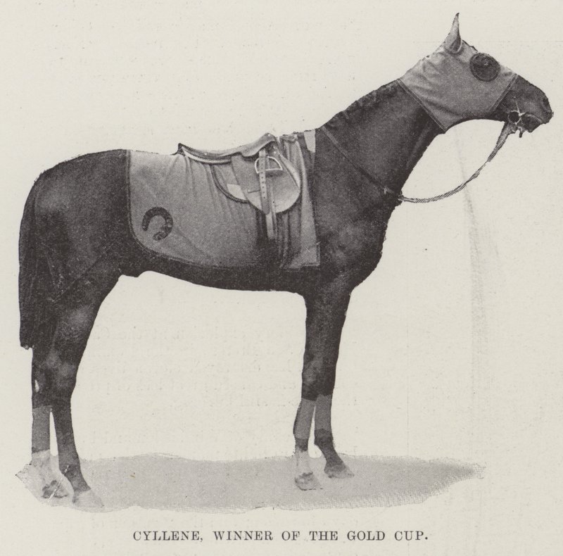 Cyllene, vainqueur de la Gold Cup - English Photographer